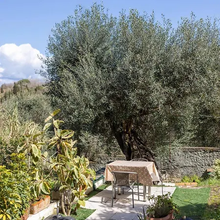 Vasiliki 's Family Apartment Corfu (city)